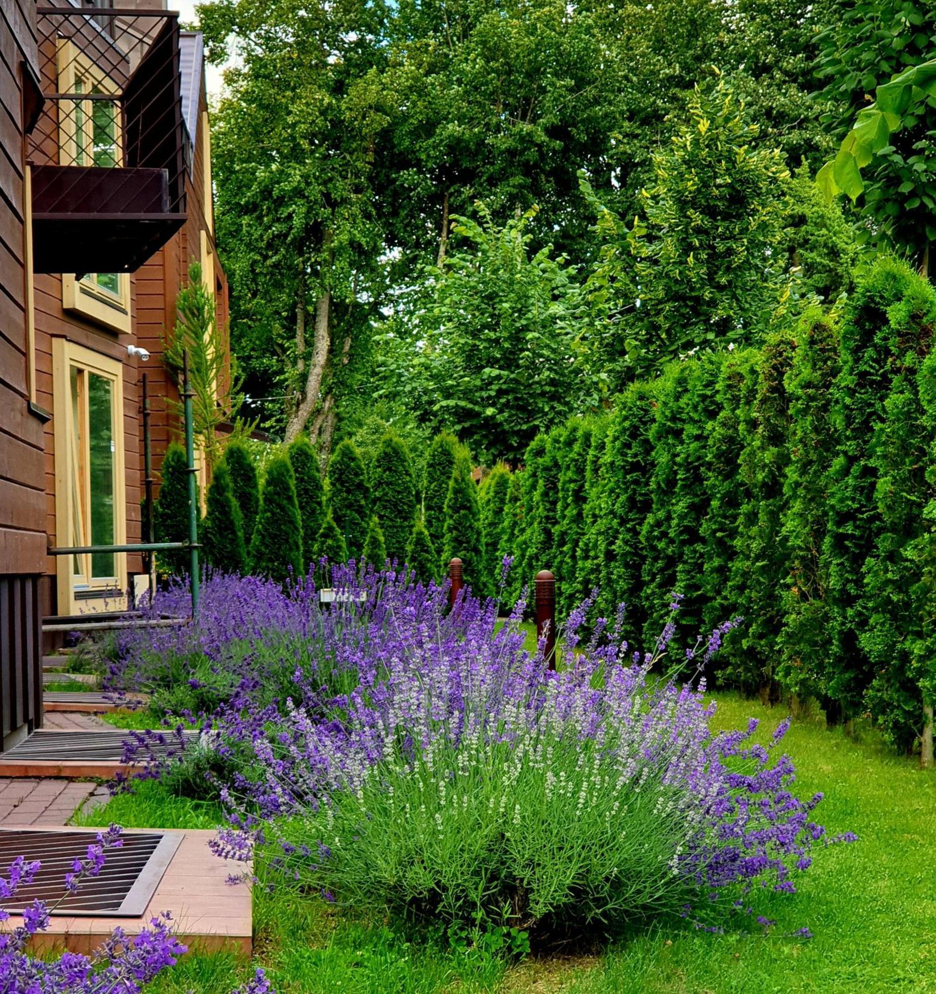 Vila Elegancija Palanga Luaran gambar